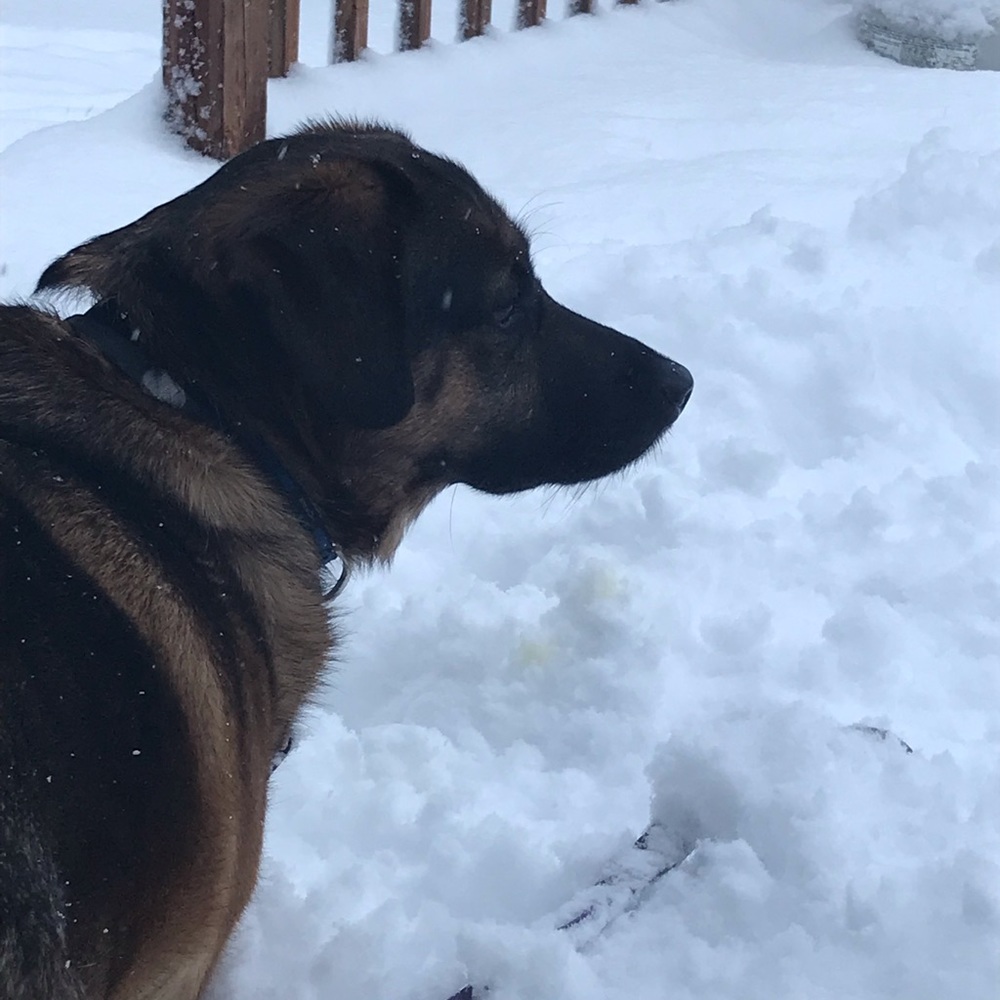 Meet your Posher, Tania